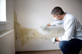 Reliable Fruitridge Pocket, CA Mold Removal & Remediation Solutions